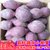 越南紫薯小个新鲜现挖粉糯番薯5斤整箱包邮沙地蒸煮紫心红薯地瓜(中果+5斤+3斤)