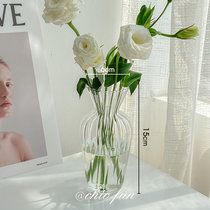 ins风透明玻璃水培器皿水养小花瓶创意插花干花鲜花客厅摆件简约