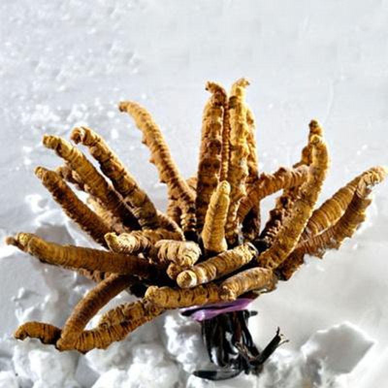 集品堂参茸礼品