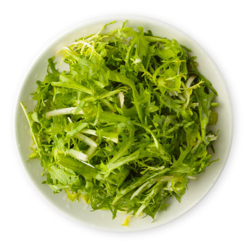 精选苦菊一份火锅食材