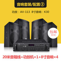 Shinco/新科 K31会议室音响套装全套家用KTV音箱套装话筒卡包功放(黑色 8寸套餐2)