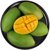 【5斤装】越南进口甜心芒芒果新鲜水果热带水果5斤装净重4.6-5斤(自定义 5斤装)