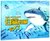 白鲨玛丽长大了(精)/海洋乐园情商系列
