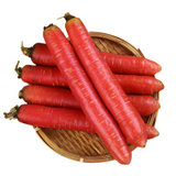 陕西大荔沙地水果萝卜生吃新鲜甜脆胡萝卜10斤包邮(单果)