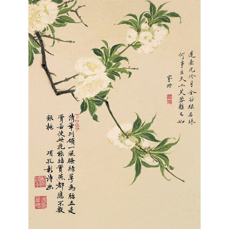 名画《花卉图十开-折枝桃花》册页 纸本 嘉兴派 清 项圣谟 国画 高清
