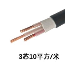 率龙电线电缆SL30国标电缆电线YJV3*10（单位：米）(默认)