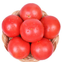 杞农优食山东海阳普罗旺斯西红柿约2.5kg装大番茄 色泽红亮 果汁充沛 爽口沁心