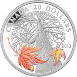 2013年加拿大发行枫叶树冠-秋天的糖枫树精制纪念银币