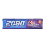2080 家护牙膏120g