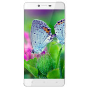 金立（Gionee）金立 F103四核移动4G智能机800万像素5.0英寸大屏双卡双待(雪金白)