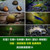 马来螺苹果螺观赏螺活体除藻螺鱼缸清洁吃鱼屎工具水族淡水螺套餐(绿色 默认版本)