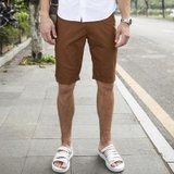 斯帕乐  纯棉 经典版型 时尚休闲短裤 男士裤子 3215D2001 褐色 34(2.62尺)