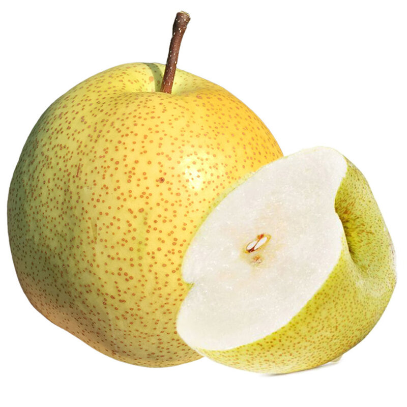 桃李杏杞农云商安徽砀山酥梨约25kg大果果重200g以上卖家包邮2500g