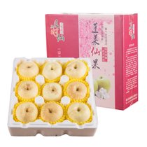 誉福园山东奶油富士苹果5斤9枚礼盒装 口感脆甜，水分充足