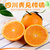 四川柑橘桔子 丑八怪桔子橘子当季新鲜水果青见耙耙柑丑橘丑柑