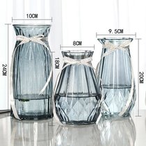 北欧创意玻璃花瓶透明水培绿萝植物玻璃花瓶家用插花客厅装饰摆件(24折纸+（18+20新诺）灰色 大)
