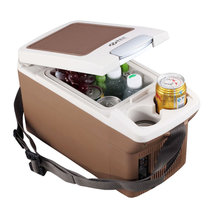 普能达PN-06车载冰箱 6升冷暖两用可做扶手箱 迷你冰箱(咖啡色)