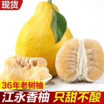 湖南永州正宗江永香柚 纯甜老树沙田柚子 新鲜水果 10斤 约5个(19斤 约9-10个 默认版本)