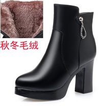 SUNTEK女式高跟女靴秋冬粗跟短靴女中跟妈妈棉鞋中年加绒皮鞋34(35 黑色高跟（秋冬毛绒)