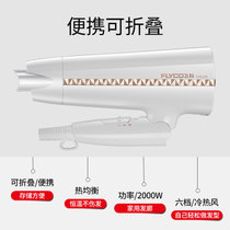 飞科(FLYCO)大功率吹风机家用发廊电吹风FH6228