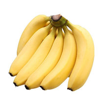 云南水果大香蕉  新鲜水果大果现摘现发