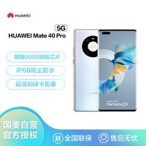 华为 HUAWEI Mate 40 Pro 5G 全网通 麒麟9000旗舰芯片 8GB+128GB秘银色华为手机（无充电器和数据线）
