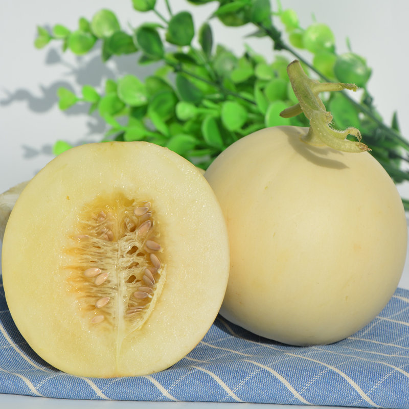 【中国万荣苹果新鲜水果图片】陕西阎良甜瓜香瓜蜜瓜5斤装新鲜包邮