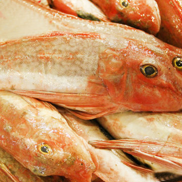 岛礼新鲜小红头鱼7条左右500g纯野生天然海鲜大连特产大渔场