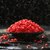 1斤彩石彩色小石头多肉花盆铺面园艺装饰造景鹅卵石子鱼缸铺底沙(红色 1斤0.3-0.5cm渲红)