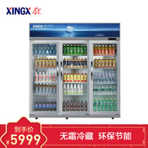 星星(XINGX) 1200升 商用展示柜 啤酒柜 恒温柜 侧开门商用展示柜冷藏立式冰柜 冷柜饮料柜 LSC-1200K