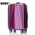 OSDY新品时尚男女拉杆箱24寸登机箱万向轮20寸旅行行李箱箱子潮(紫色 24寸)