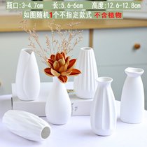 白色陶瓷花瓶花盆水养北欧现代创意家居客厅餐厅干花插花装饰摆件(随机（1个）花瓶 中小)