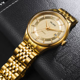 帝浪(DILANG)男士手表进口自动机械机芯钢带皮带经典时尚绅士腕表K9(全金色)