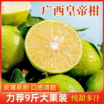 誉福园广西皇帝柑 新鲜柑橘 9斤大果（60-65mm） 皮薄易剔 口感清甜 纯甜多汁