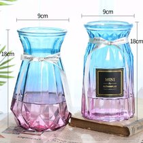 【两件套】北欧玻璃小花瓶透明彩色水培植物干花欧式客厅插花摆件(18南瓜F 1+18贴纸F 1 中等)
