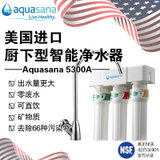 美国阿克萨纳aquasana AQ-5300A净水器家用直饮净水机 高端厨房过滤净水器(白色 旗舰款)