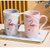 陶瓷杯子女学生水杯牛奶咖啡杯早餐杯陶瓷杯马克杯(红彩纹高脚杯(赠金勺子) 1个)