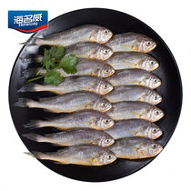 海名威国产冷冻东海小黄鱼 500g 16-20条 袋装 生鲜海鲜水产 鱼类 国美超市甄选