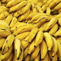 新鲜水果 香蕉 米蕉 南蕉 丑蕉 自然熟非苹果蕉芭蕉 4斤装