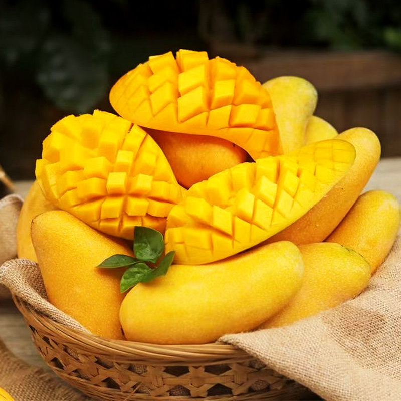 广西金煌芒芒果香甜芒水仙芒非贵妃芒大青芒小台芒新鲜水果孕妇水果