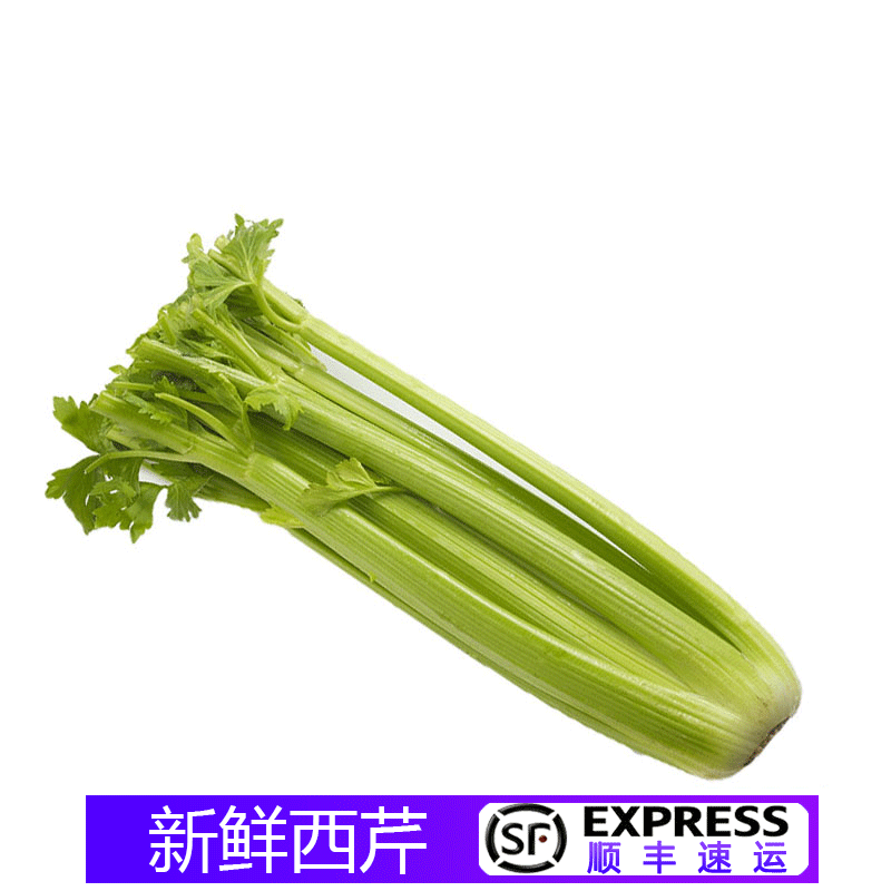 【顺丰】新鲜西芹 大芹菜 洋芹菜 西餐配菜 1000g