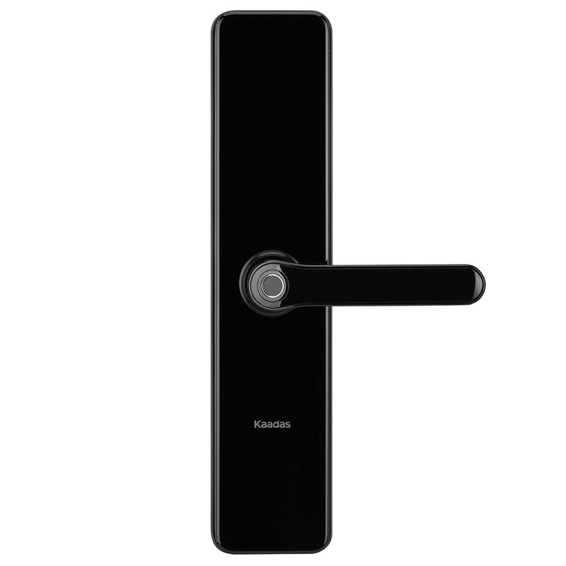 凯迪仕指纹锁s100星空黑