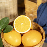 赣南脐橙 橙子现货速发 水果生鲜 橙子现摘先发当季橙(10斤装)