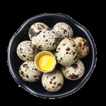 城南堡花 新鲜生鹌鹑蛋 鹑鸟蛋 生鲜鹌鹑蛋 农家鹌鹑蛋 宝宝辅食(50枚装)