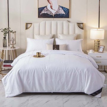 【奥若拉200*230cm被子】奥若拉宫廷桑蚕长丝夏被200*230cm 蚕丝填充