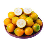 广西融安脆皮金桔250g/2斤/3斤装 当季鲜果小橘子柑橘(2斤装大果(单果8-15g))