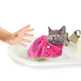 宠物猫洗澡带