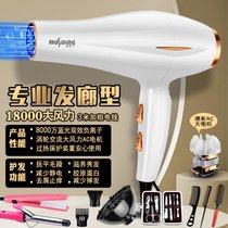 发廊电吹风机理发店专用3000w大功率负离子家用大风力速干7yb(德系--【晧月白】--送全赠品)