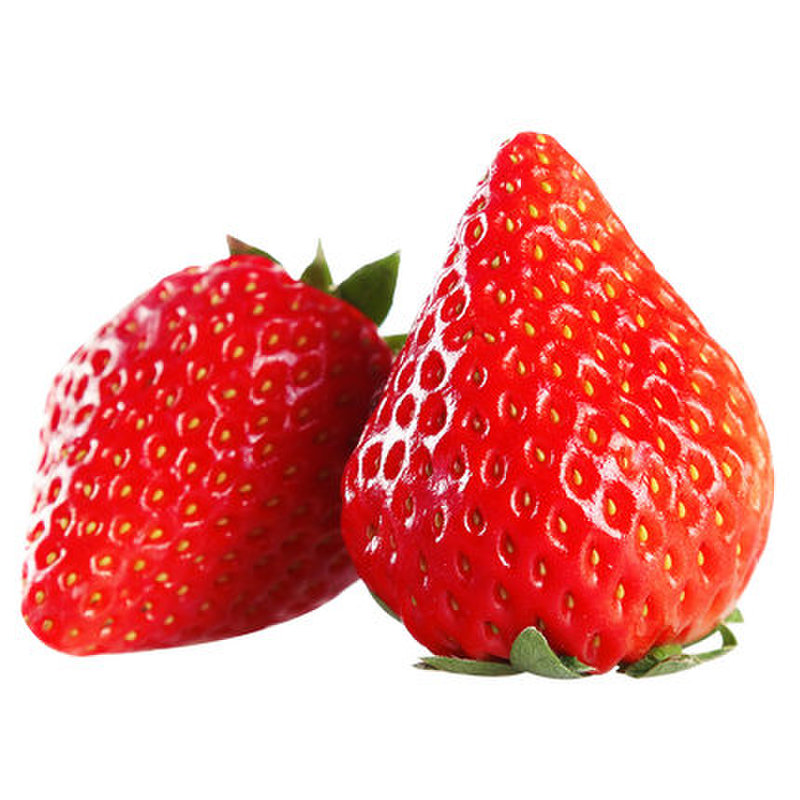 新鲜水果正宗丹东99牛奶红颜草莓新鲜水果实心甜东港九九草莓礼盒生鲜