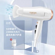 电吹风机家用大功率风力负离子发型师专用护发学生宿舍吹风筒7yb(白金色)